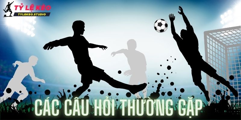 Câu hỏi thường gặp tại Tylekeo là gì?