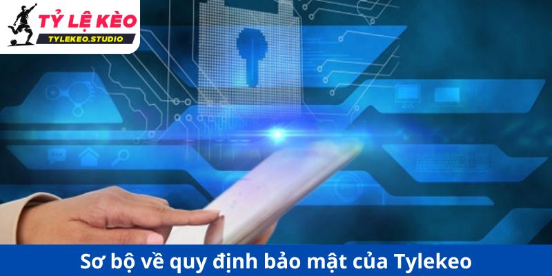 Sơ bộ về quy định bảo mật của Tylekeo