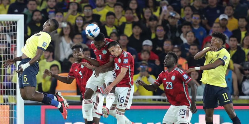 Dự đoán kết quả thi đấu của đội bóng giữa colombia vs Ecuador